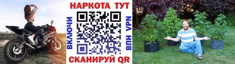 Купить закладку Пушкино ГАШИШ  APVP  кракен ссылки  КОКАИН  Мефедрон 