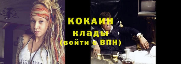 ешки Аркадак
