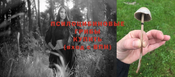 ешки Аркадак