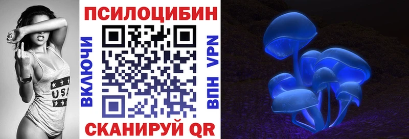 купить наркотик  Пушкино  Галлюциногенные грибы GOLDEN TEACHER 